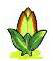 Jojoba.png